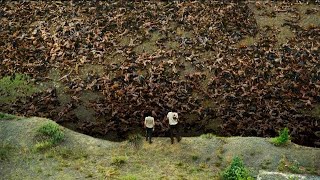 A Humanidade Está Infectada Com Um Vírus mortal, e o Mundo se transformou em uma Enorme Cova