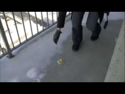 This is Your Brain on Minnesota Cold: Freezing an Egg on the Pavement