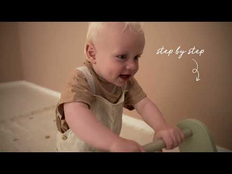 Multi-activity Baby Walker Little Goose