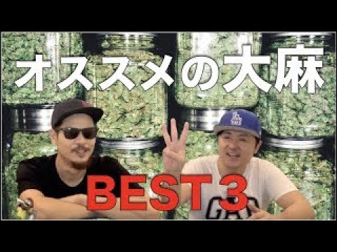 【KushGangが選ぶ】マリファナの品種ベスト３