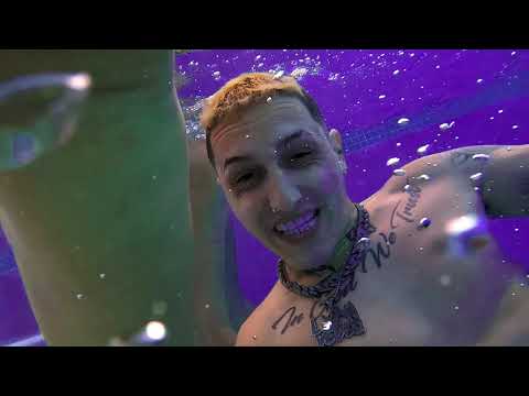 Lyan - Perriando en las Redes (Official Video)