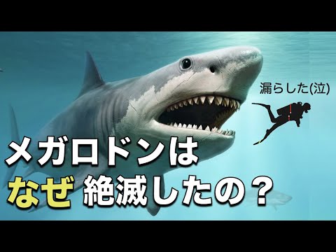 先史時代のサメ – 絶滅したサメと生きたサメの例