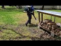 Treating Property for Mosquitoes & Ticks in Forked River, NJ