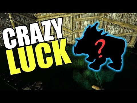 Crazy Luck With Trike Breeding! | ARK Official PVP Tribe Life Series | ARK: Survival Evolved | EP 40