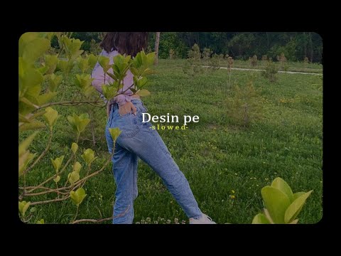 Desin Pe දැසින් පැ  - SLOWED*