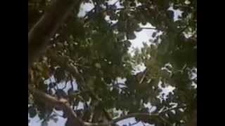 SIMONE e  MAMA MARIA