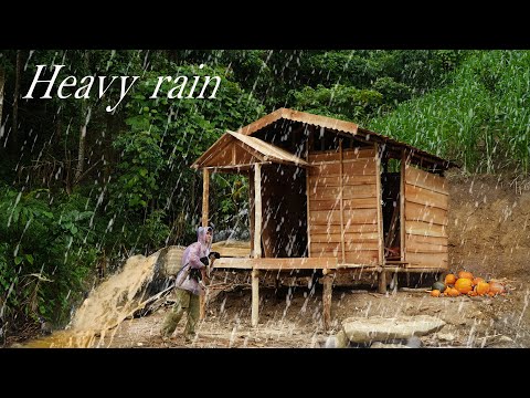 Heavy rain, SuKi is sick: The journey to build a wooden house continues | Thanh Duong