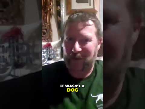 Big Cats Episode 17 of the Wyrd Wessex Podcast with Paul MacDonald