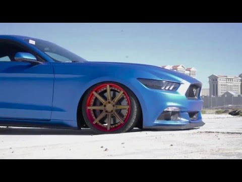 American Force Edition 2016 Mustang GT 5.0