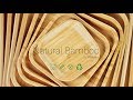Блюдо кругле дві секції Wilmax Bamboo 35,5 см (WL-771049) відео іконка 1