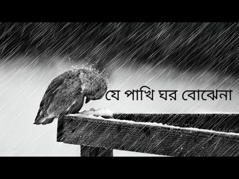 je pakhi ghor bojhena - lyrics | যে পাখি ঘর বােঝেনা -Soft Lyrics | Sudhu Tomar Jonno| Dhruba |