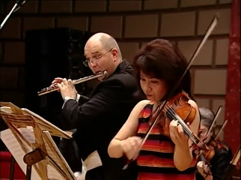 Dan Dediu - Plasitc Rock Concerto (integral);