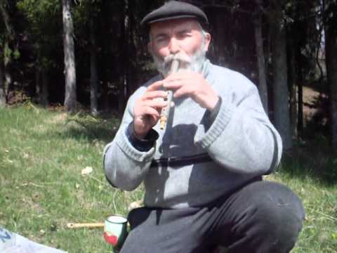 DUMINECA TOMI BAJESTI