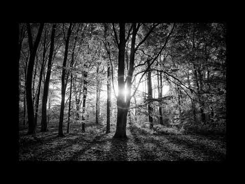 The Dream sounds from Kemper Profiler