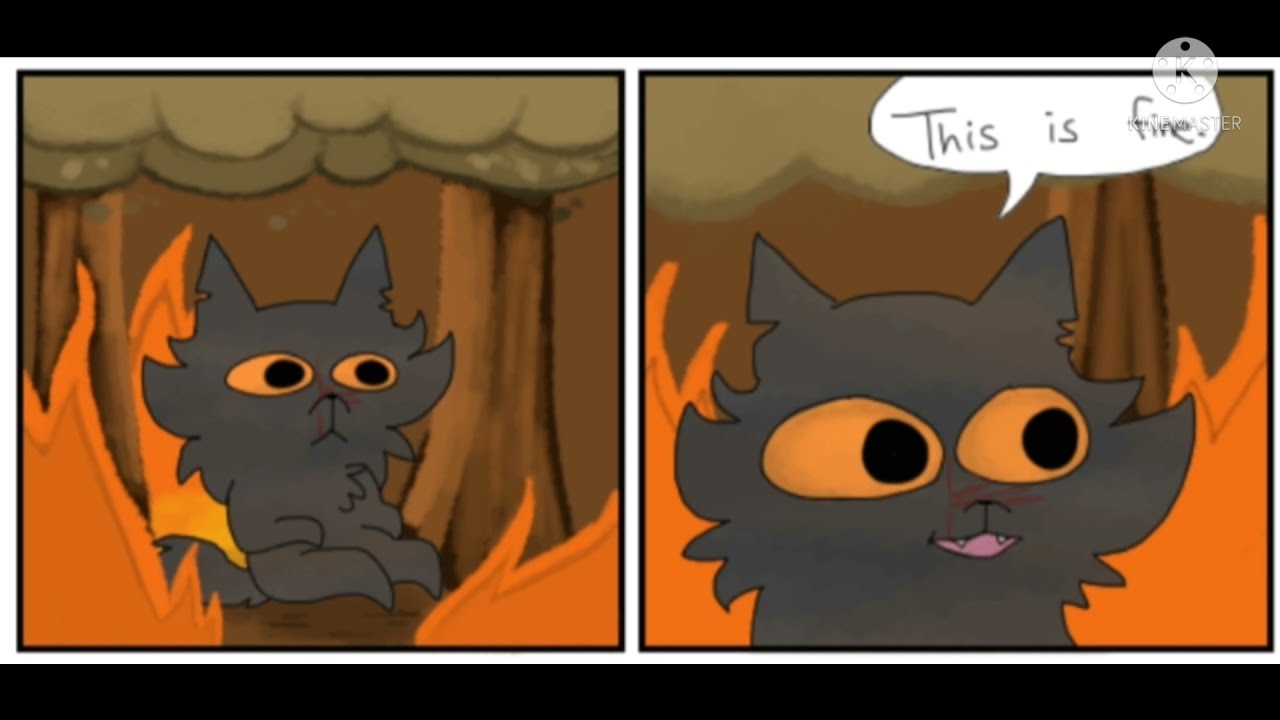 Warrior Cat Memes I Found When I Was Bored Part 3