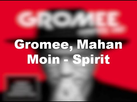 Gromee, Mahan Moin - Spirit (Lyrics version)