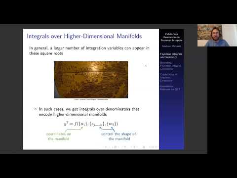 Zoomplitudes 2020: Andrew McLeod (Niels Bohr Institute)