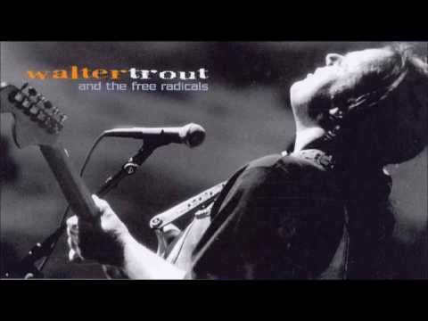 WALTER TROUT & The Free Radicals - The Reason I'm Gone
