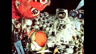 Wonky Alice - Atomic Raindance