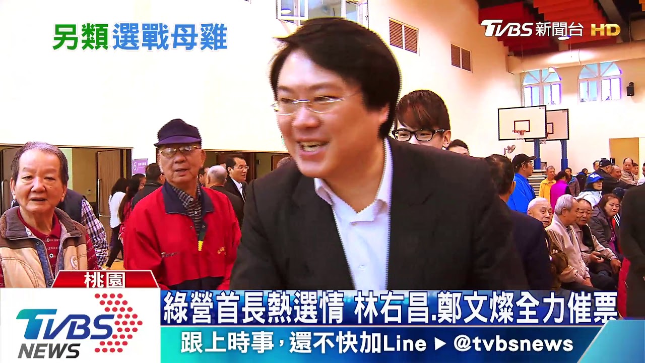藍綠縣市首長熱選情　「另類母雞」催選票