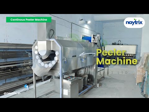 Potato Washer & Peeling Machine