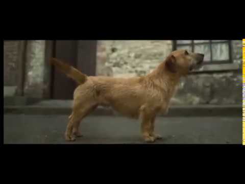 Lassie (2006) Trailer