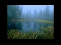 Falkenbach - Winternight 