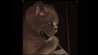 Necro Robbery ‘95 (slowed + reverb)