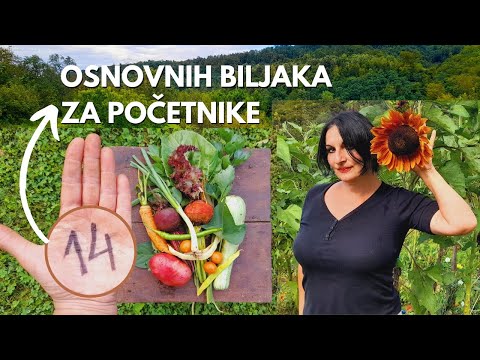 14 Plants Every Beginner Should Grow