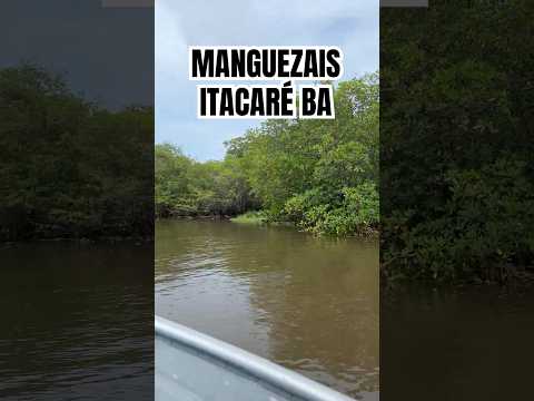 MANGUES DE ITACARÉ BA #turismo #caminhoparaumavidamelhor #nature