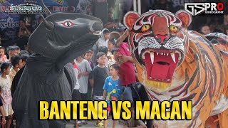 Download lagu BANTENG VS MACAN X-TREME BUDOYO LIVE GRINGSING mp3 Download lagu BANTENG VS MACAN X-TREME BUDOYO LIVE GRINGSING mp3