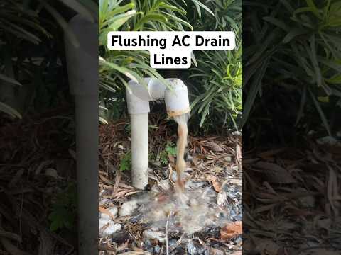 AC Drain Cleaning! | Flush Condensate Drain Line | AC Maintenance