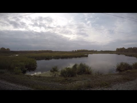 WINDOW SEAT ON A SLOW TRAIN IN SIBERIA + MUSIC (Perm to Novosibirsk/Trans-Mongolian Railway, Day 2)