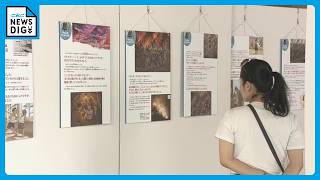 一晩で約900人が犠牲となった“岐阜空襲” ｢家族がはぐれないよう縄でつないで逃げた…｣ 子どもたちに平和の大切さ伝える資料展開催 みんなの森 ぎふメディアコスモス