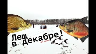 Ловля леща в декабре на урале