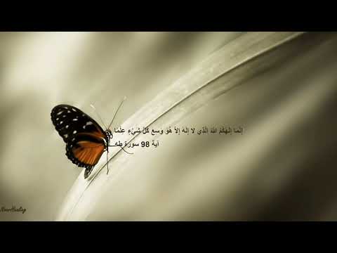 Relaxing Recitation of Surah Taha for Stress Relief and Healing Relaxation by Ismail Annuri