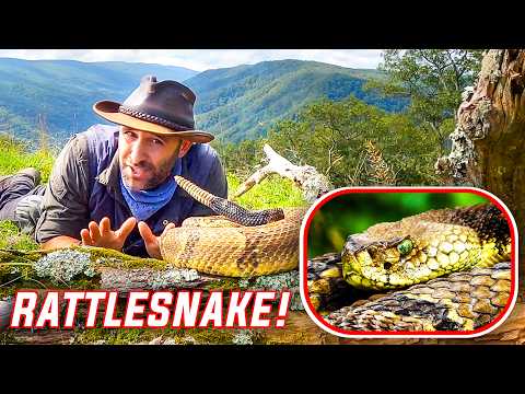 Craziest Cold-Blooded Catches of Coyotes