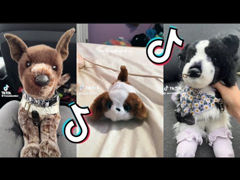 ESSA TikTok Compilation #1 || ESSA day special ||