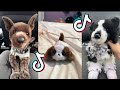 ESSA TikTok Compilation 1 ESSA Day Special
