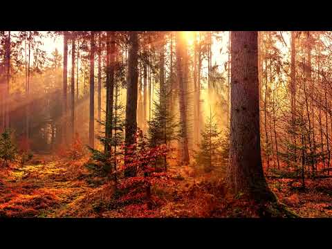 We Got Chemistry  -  spring gang feat. Penny Lane