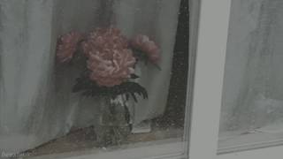 ¨̮ M&D – ULSANBAWI (sub esp)