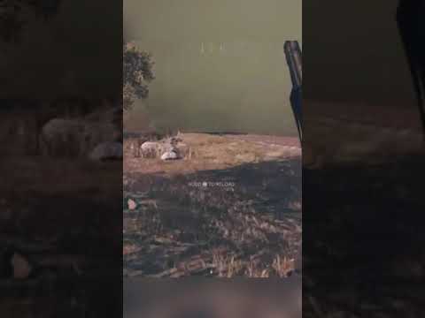 Snipers only customs clip