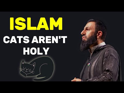 Why Cats Are Not Holy In Islam? | Belal Assaad