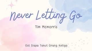 Download lagu Tim Mcmorris - Never Letting Go (Ost Siapa Takut Orang Ketiga) #soundtrack #lyricvideo mp3