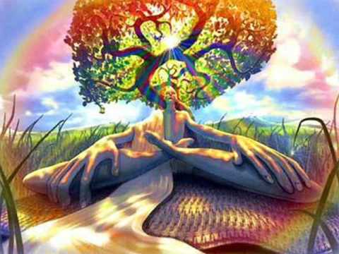 Shpongle - Shpongle Spores