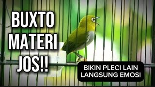 Download lagu Pleci BUXTO gacor🔥Pancingan pleci di pagi hari bikin semua jenis pleci gacor dan buka paruh‼️ mp3