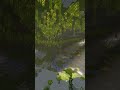 3 The Lush Cave VIO Toons Shorts Minecraft