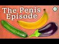 The Penis Explained Sex Ed 3