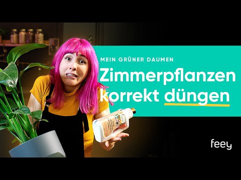 So düngst du Zimmerpflanzen richtig 🌱 | feey