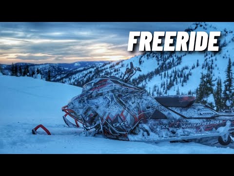 Day 74 + Freeride 146 Review
